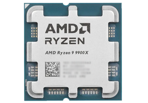 AMD Ryzen 9 9900X